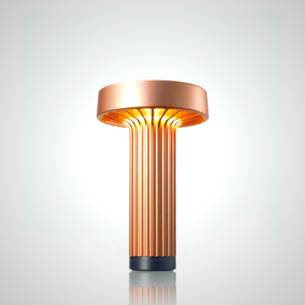 Fotica - Underwater Photography Art Inspired by Okinawa's Ocean