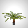 Green Palm Plant 50cm - Indoor Tropical Decor