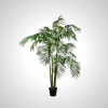 Green Palm Tree 274cm - Tropical Indoor Plant
