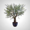 Premium 240cm Green Olive Tree - Artificial Mediterranean Olive Plant for Indoor & Outdoor Decor