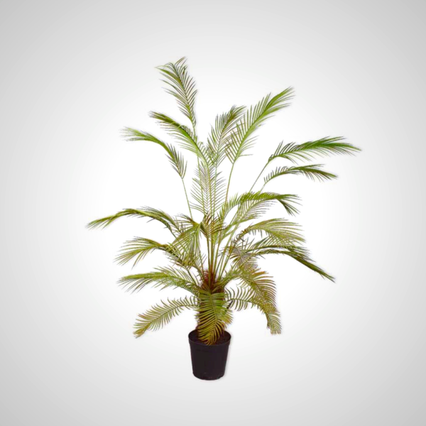Palm Green 182cm - Tropical Indoor Plant with Glossy Leaves